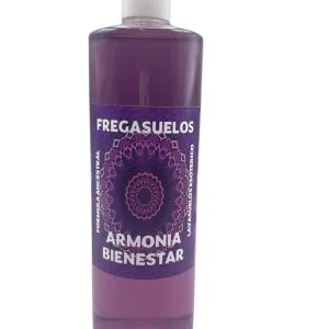 Fregasuelos o lava suelos para la armonía en el hogar